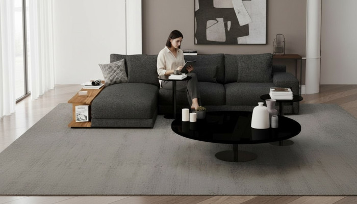 Canapé élégant et confortable