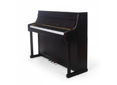 Piano numérique noir excellent pour une expérience de maître