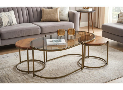Couchtisch Modern Minimalistisch Braun Elegant Stilvoll Komfortabel