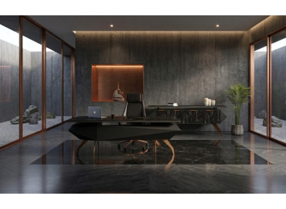 Elegantes Büro Möbel Set Mit Sideboard Und Schreibtisch Modern