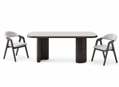 Luxusmöbel Esstisch mit  2x Stühle Esszimmer Moderner Komplettes