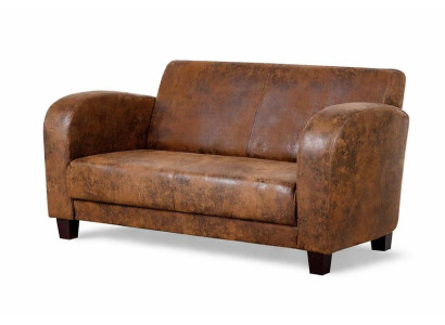 Braunes 2-Sitzer-Sofa Luxuriöses Ledersofa Kleines Sofa Wohnzimmermöbel