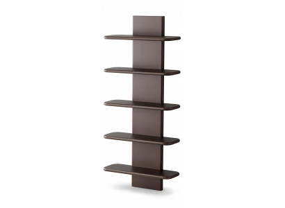 Modernes Regal Dunkelbraun Design Wandregal Exklusiv Wohnwand