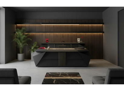 Designer Büro Möbelset Schwarz Holz Schreibtisch Sideboard