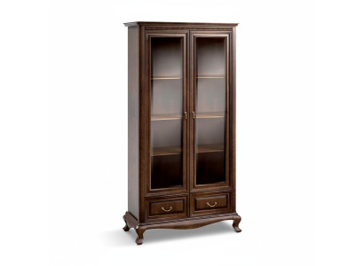 Vitrine classique Armoire de présentation Vitrine de salon vitrée Vitrine V-W2 en verre nouveau