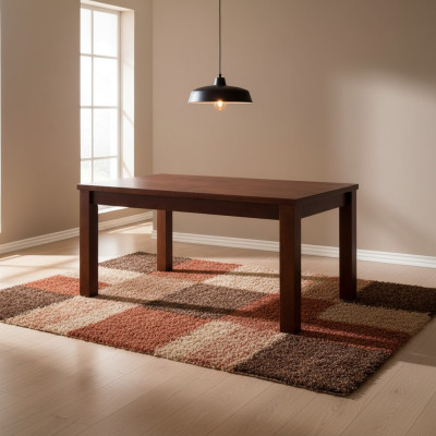 Table Table à manger Table en bois Table de conférence XXL Table de 70X120cm Extensible 120X160cm