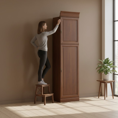 Armoires classiques Armoire murale Agencement d'armoire en bois Vitrine Étagère - Modèle BA-12