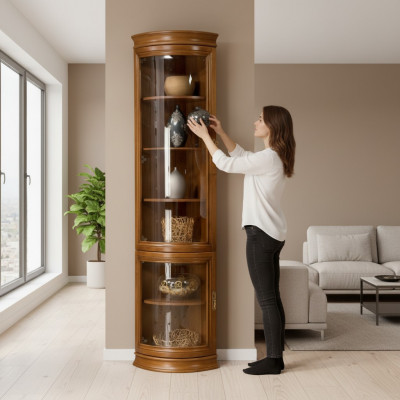 Armoire classique Étagère Bibliothèque Vitrine Vitrine en verre