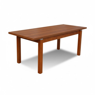 Table Table à manger Table en bois Table XXL Table de conférence S18-L-S 90X160cm extensible