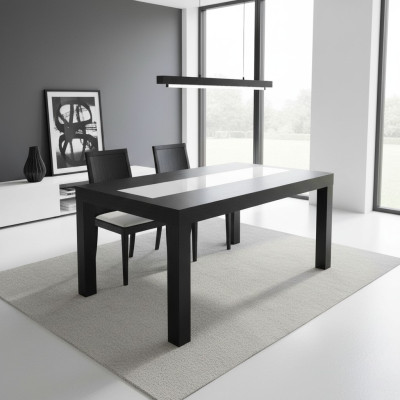 Table de salle à manger table en bois table XXL Table de conférence S32 90x170cm extensible