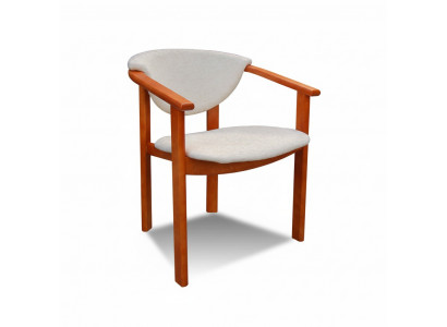 Chaise de salle à manger en bois massif CHAISE DESIGNER CLASSIQUE Blanc FAUTEUIL Bois