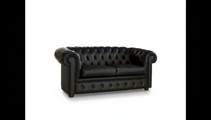 Canapé Chesterfield Sofa Coussins Canapés Classique 2 Places Siège en Cuir Schaffhau