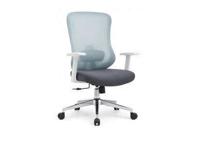 Ergonomischer Bürostuhl mit Mesh-Rückenlehne, verstellbaren Armlehnen