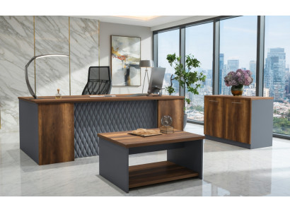 Stilvolles Büro Set Schreibtisch Sideboard Couchtisch Holz Grau