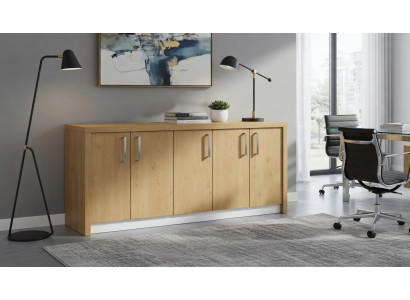 Funktionale Konsole mit Türen für modernes Interieur