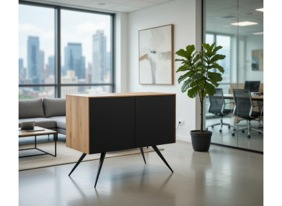 Elegantes Sideboard Holz mit Türen modern und kompakt