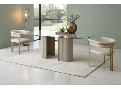 Elegantes Esszimmer-Set: Esstisch mit Glasplatte und 2 Design Stühle