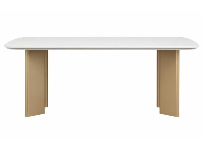 Esszimmer Esstisch 200 x 100 cm Designer Küchentisch Familientisch Luxuriöser