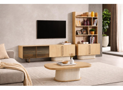 Elegantes Wohnzimmer-Set mit TV-Lowboard, Couchtisch und Bücherregal