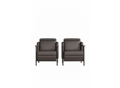 Designer 2x Ledersessel Wohnzimmer Sitzmöbel Luxus Sessel 2tlg