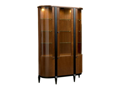 Vitrine Schaukasten Glasvitrine Glasaufbewahrung Schrank Esszimmerschrank