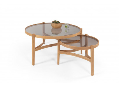 Set aus zwei Beistelltischen mit getöntem Glas und formschönem Holzgestell