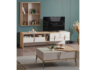 TV-Board, Wandregal und Couchtisch für stilvolles Wohnzimmer